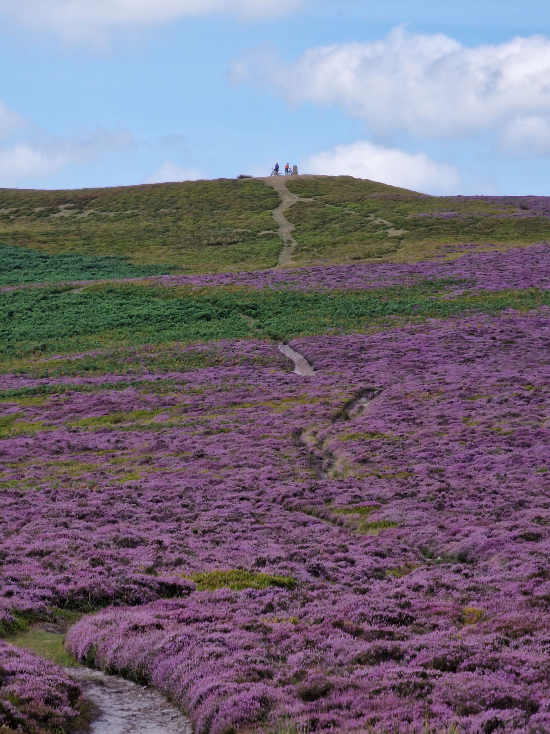 Crug Mawr & Partishrow